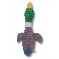 Kachna střední (70 cm)