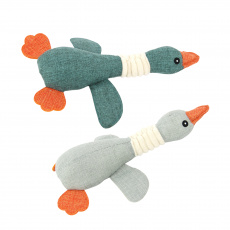 Kachna malá (30 cm)